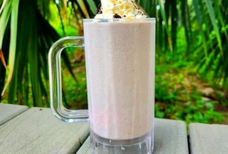 Herbalife Cookies and Cream Shake Recipe