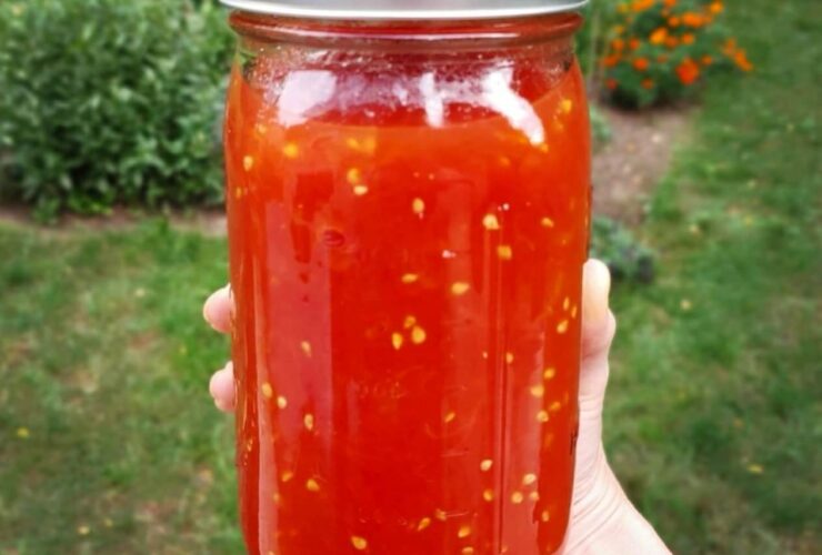 Datil Pepper Sauce Recipe